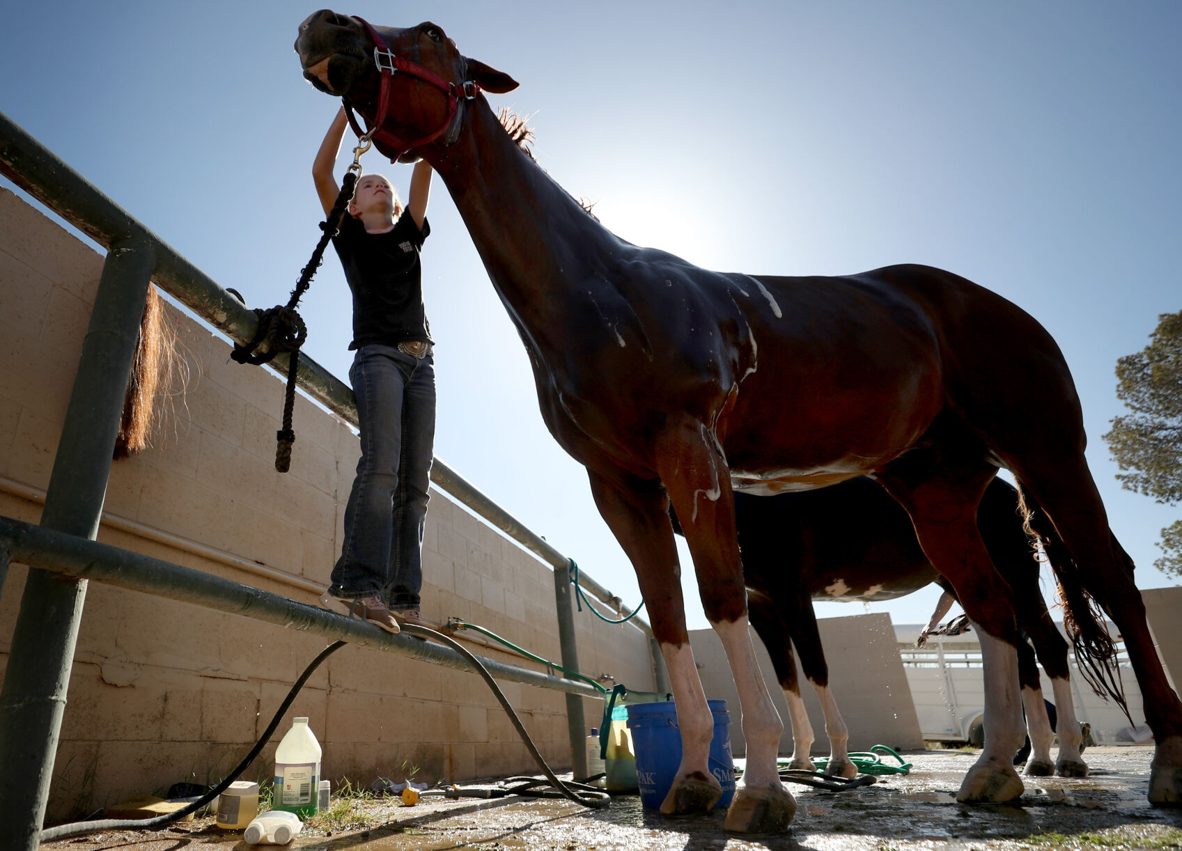 Pima County Fair
